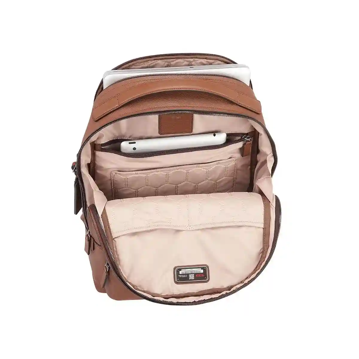 Webster Backpack