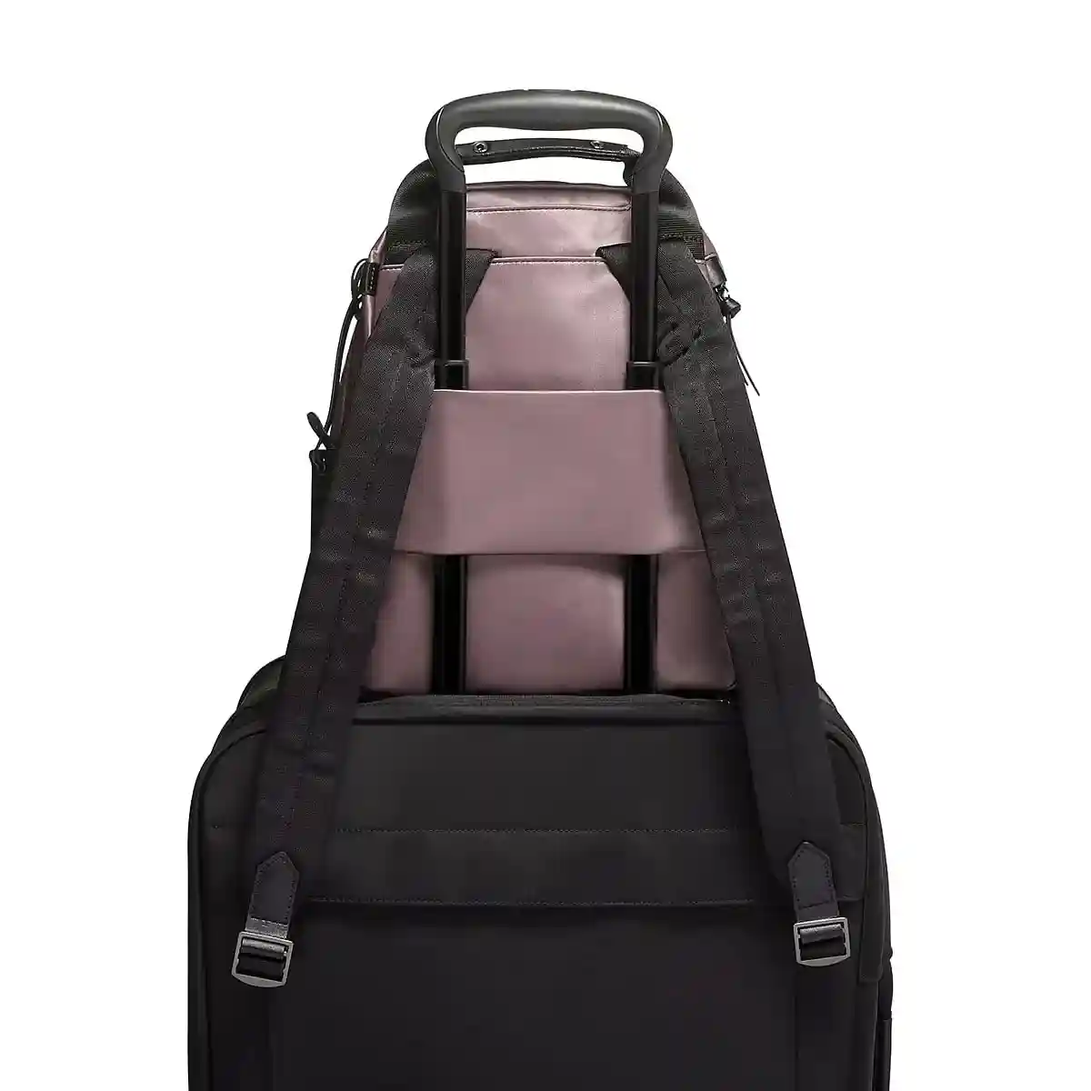 Sterling Backpack Raisin