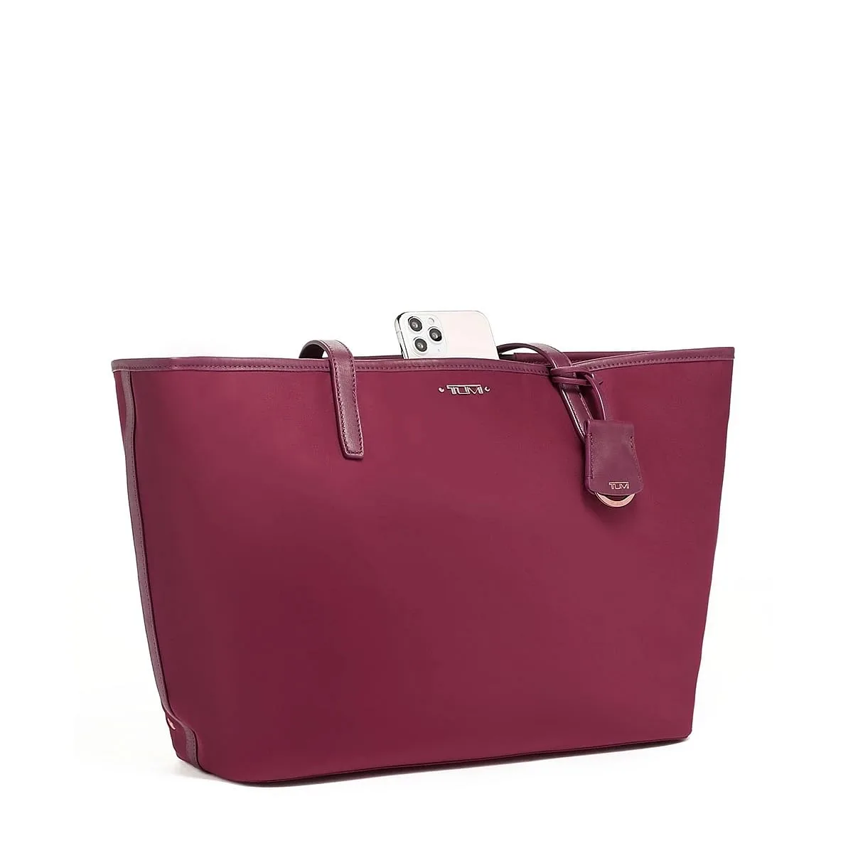 Voyageur Small Everyday Tote Pink