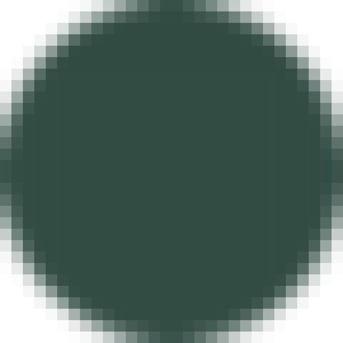 19 Degree International Expandable 4 Wheeled Carry-On