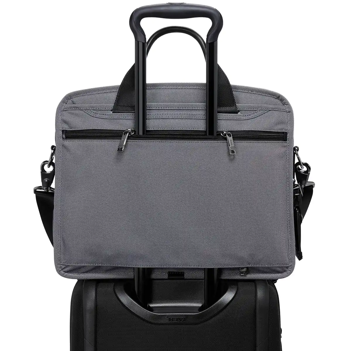 Alpha Organizer Brief