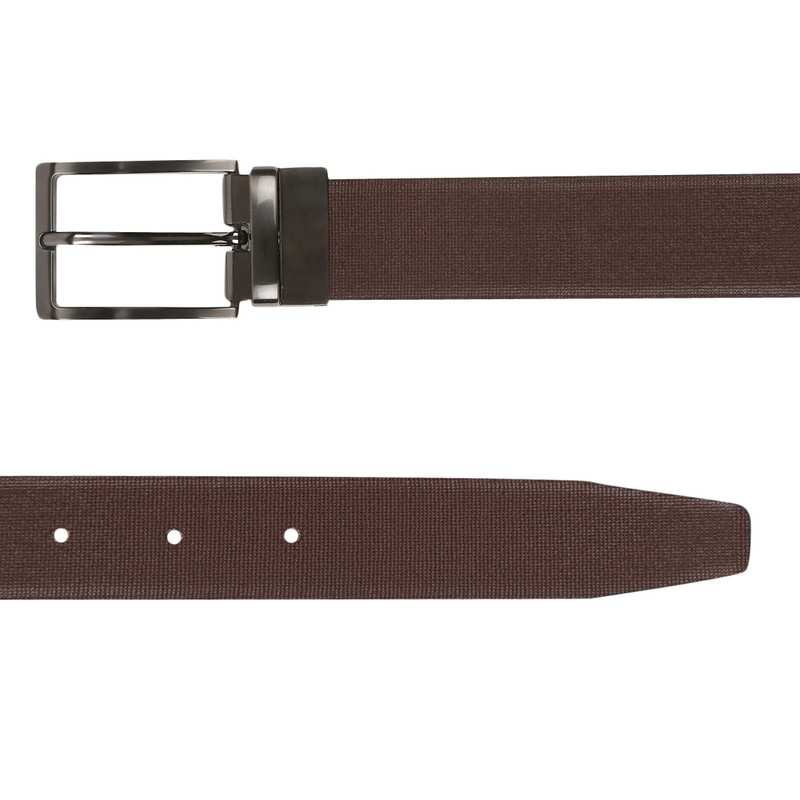Turtle | Black Belts 1