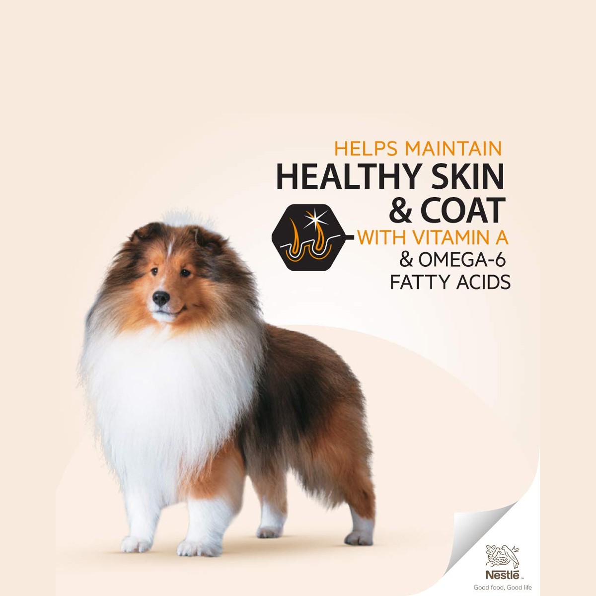 Pro Plan Medium Adult Chicken Flavour Dry Dog Food - 15 Kg