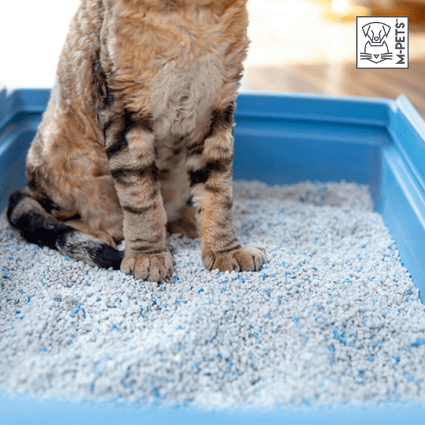M-Pets Cat Litter Baby Powder