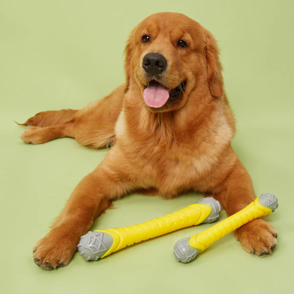 Barkbutler x Fofos Flexy Bone Squeaky Dog Chew Toy