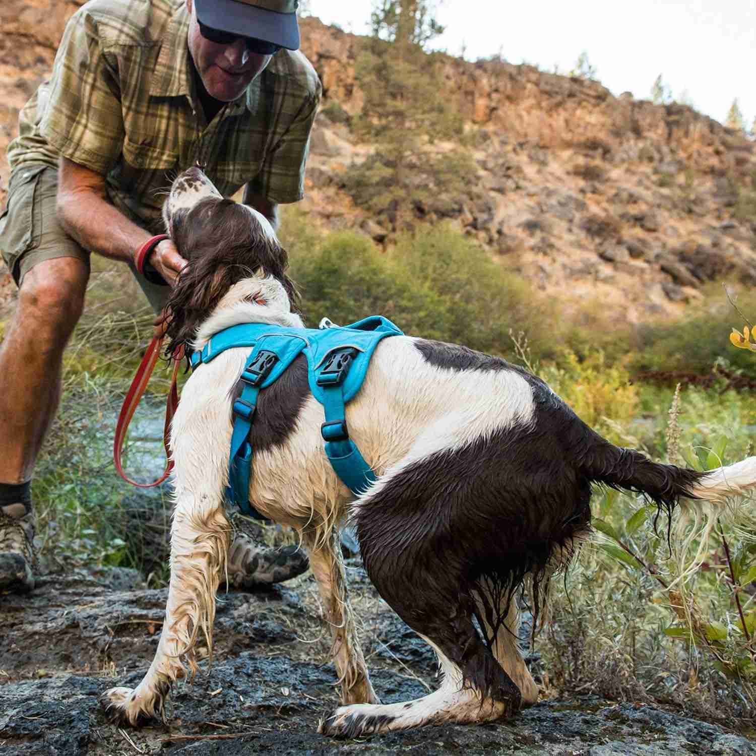 Ruffwear Webmaster Harness for Dogs (Twilight Grey)