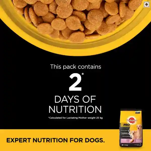 Pedigree Starter Pro Nutri Defense With Milk Pregnant/ Lactating Large Breed Mothers &amp; Pups (3-12 Weeks) Dry Dog Food