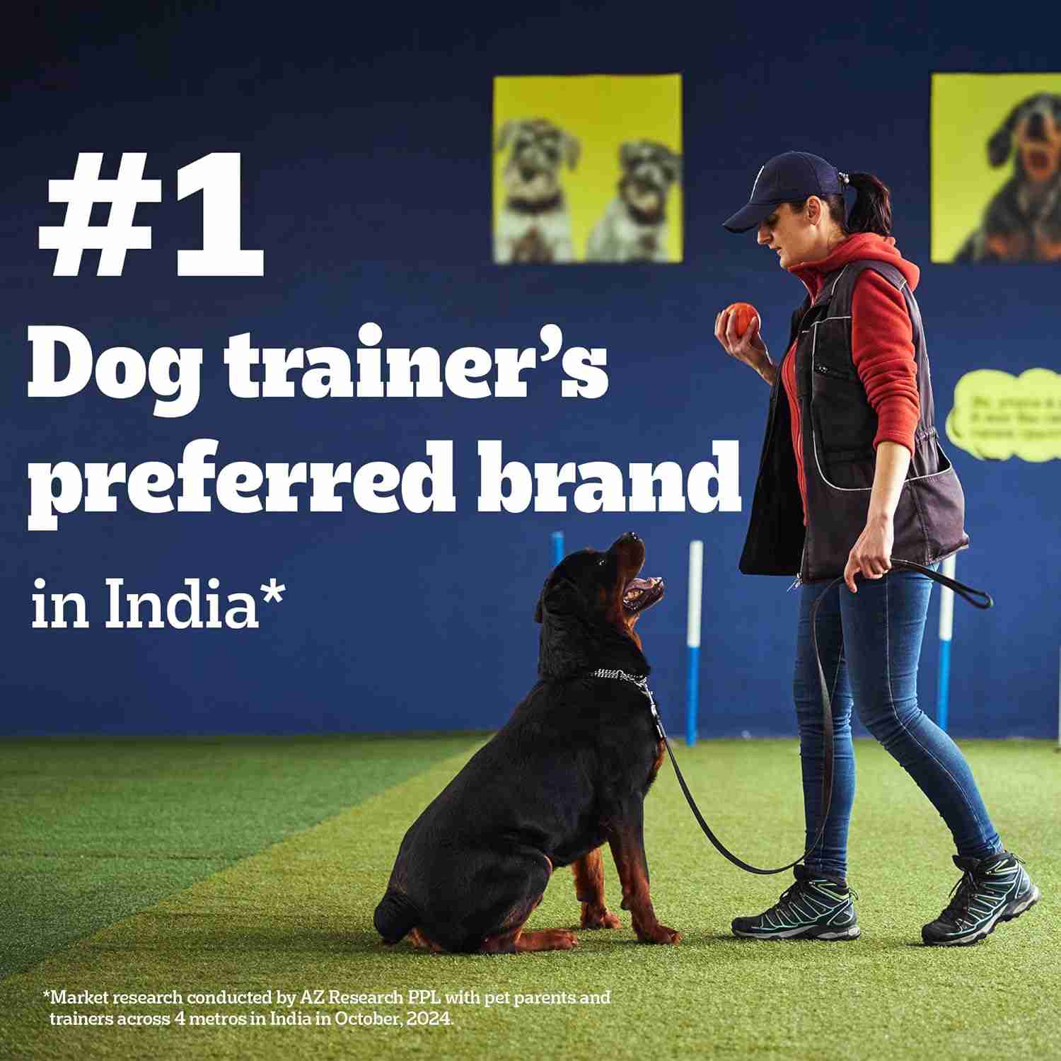 Pedigree Biscrok Protein & Calcium Biscuits for Dogs with Milk & Chicken 900 g