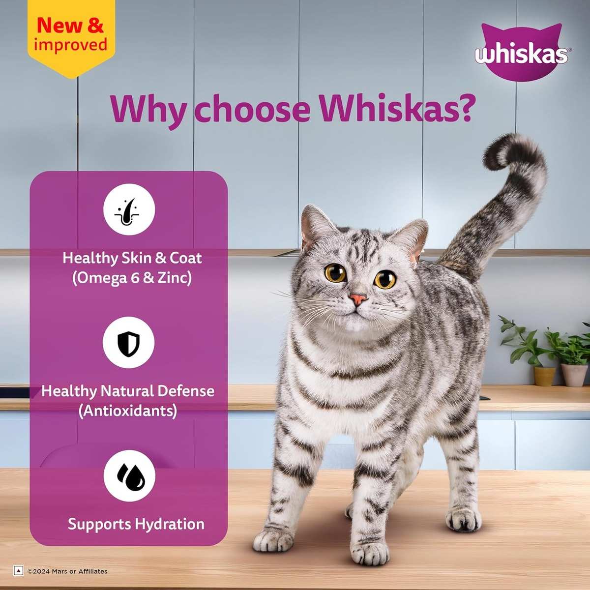 Whiskas Chicken Gravy Adult Wet Cat (1+ year) Food, 80g