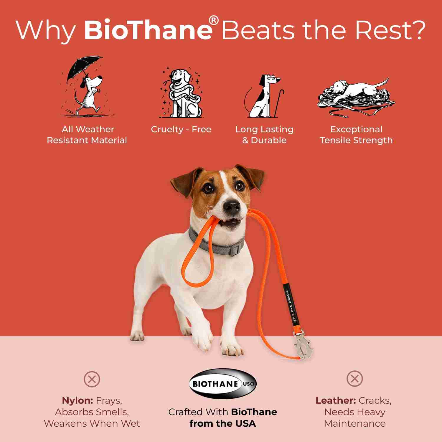 Human and the Beast The Super Leash with 6ft Length (Hunter Orange, Sliver Clip)