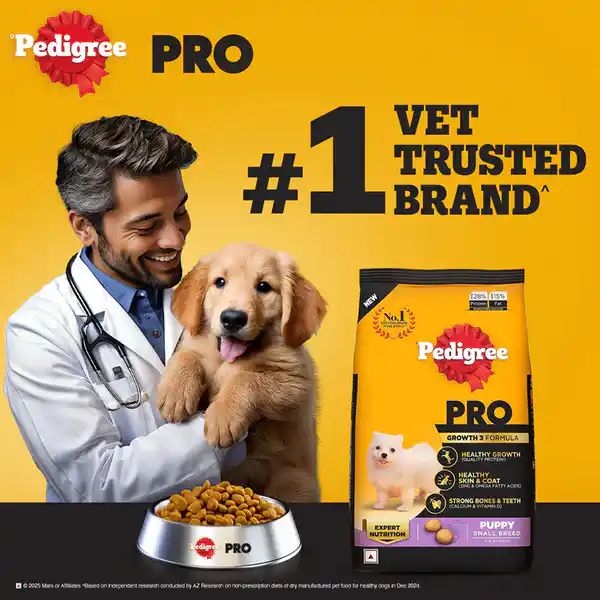 Pedigree PRO Expert Nutrition Small Breed Puppy (2 to 9 Months) Dry Food 1.2kg