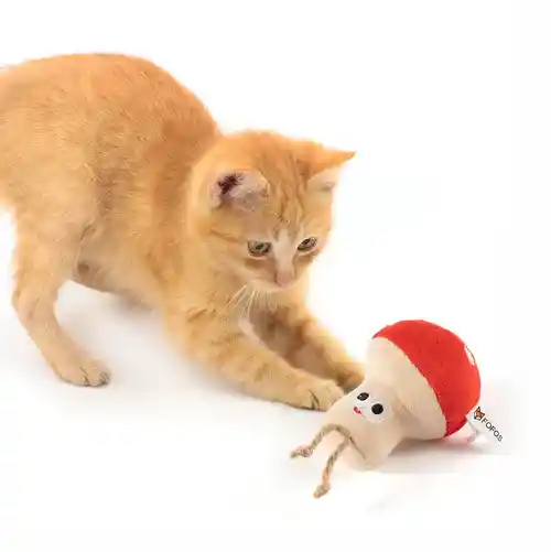 Barkbutler Fofos Mushroom Catnip Toy for Cats