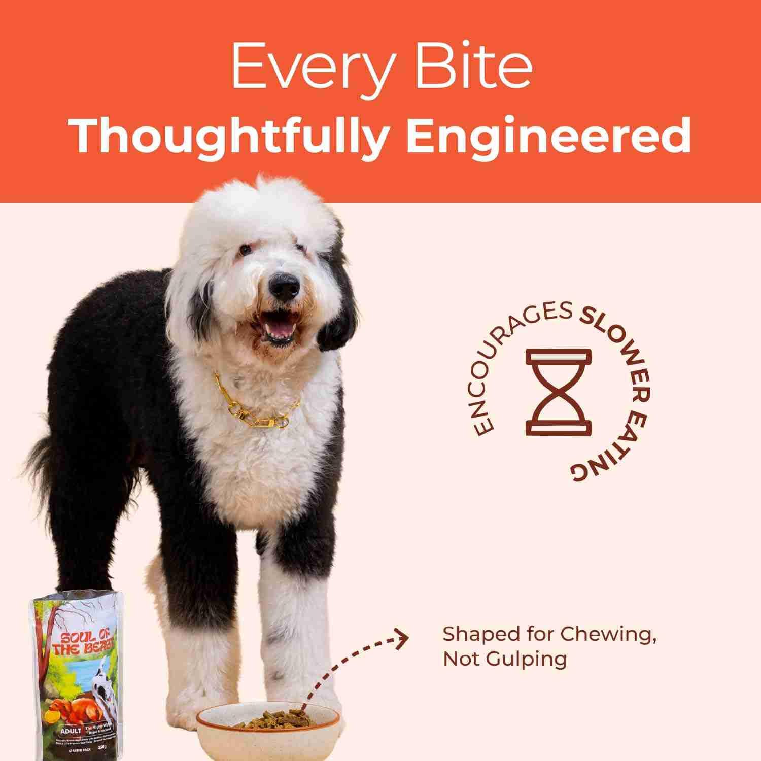 Human and the Beast The Mighty Waters Dry Food for Dogs, 1 kg