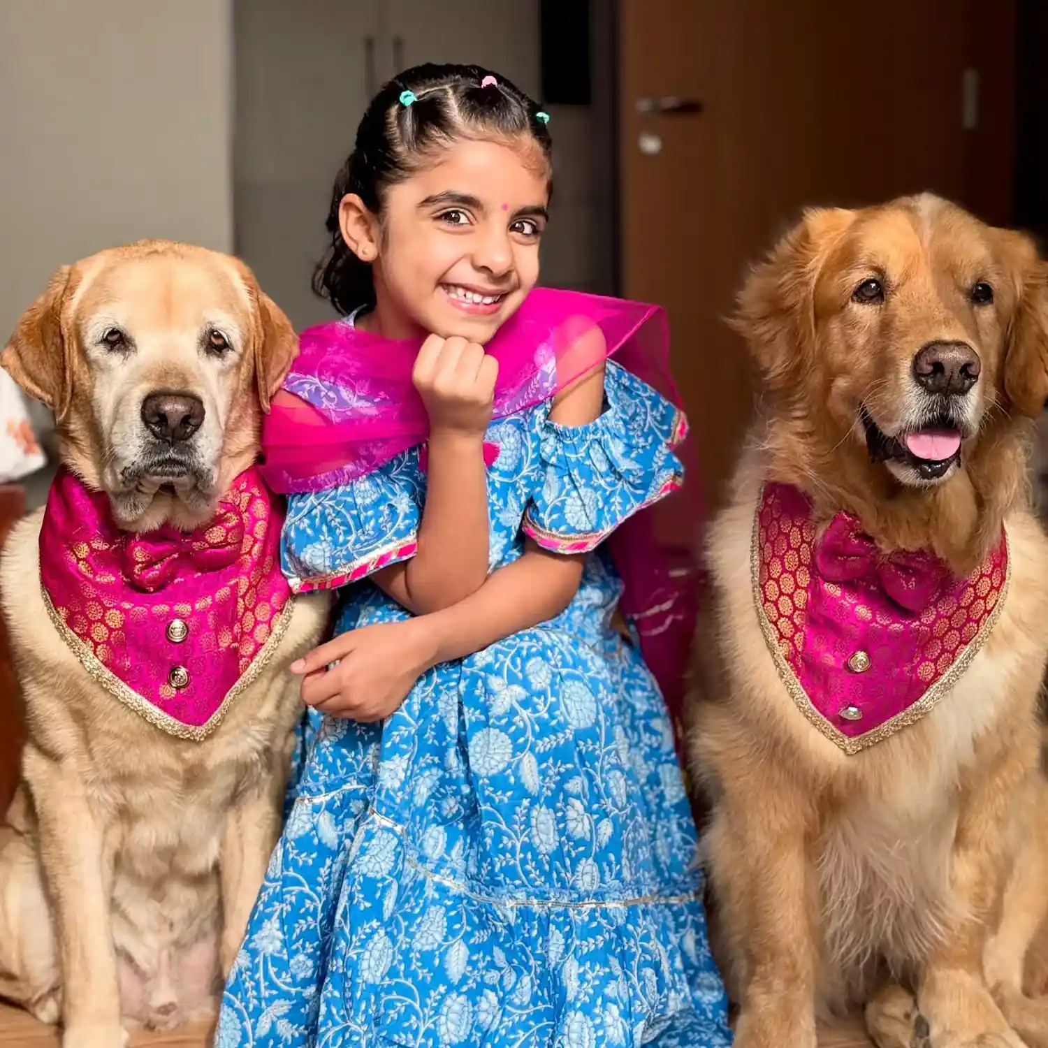 PawsIndia Traditional Royal Brocade Tuxedo for Pets, Pink | Ethnic Festive Wear