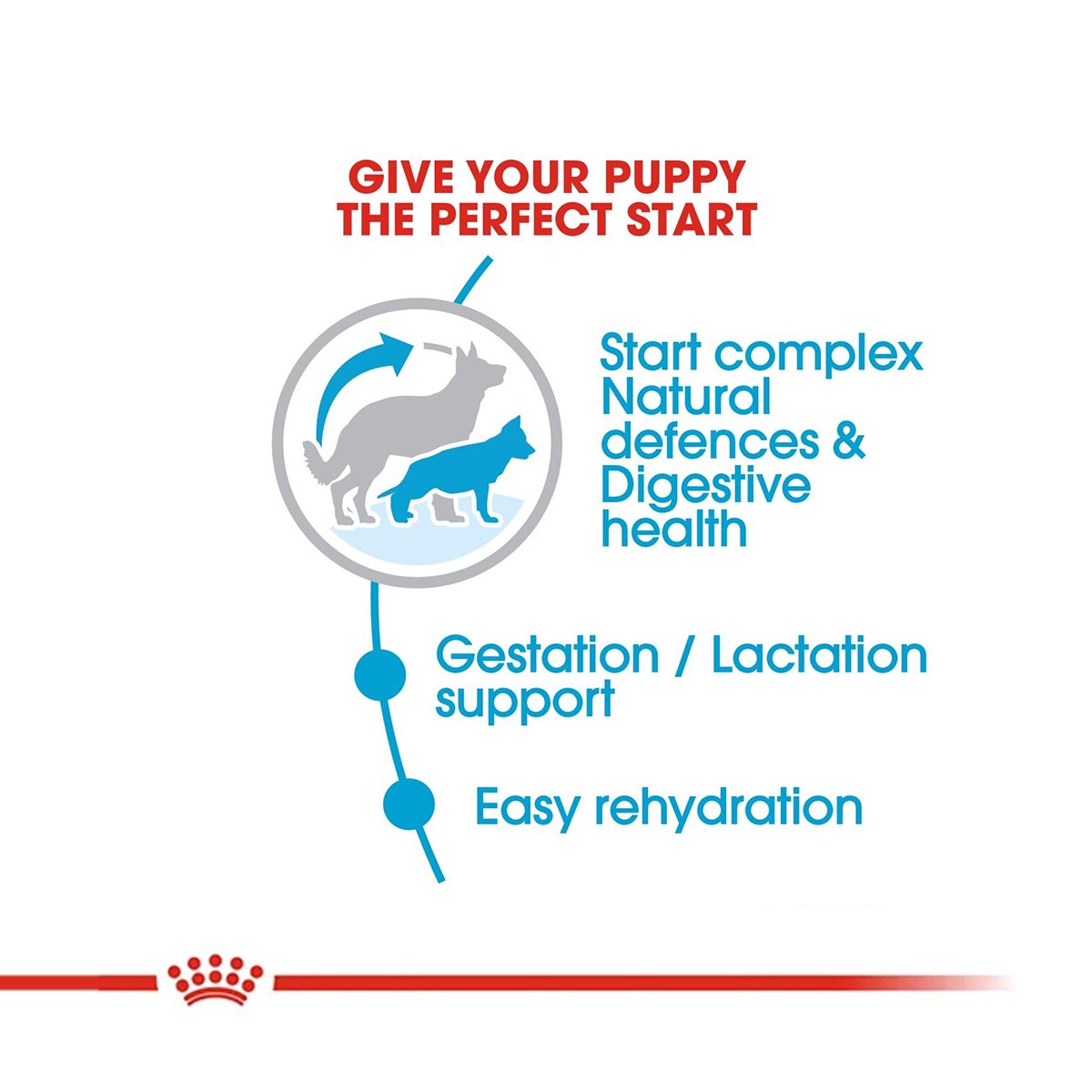 Royal Canin Maxi Starter Dog Dry Food
