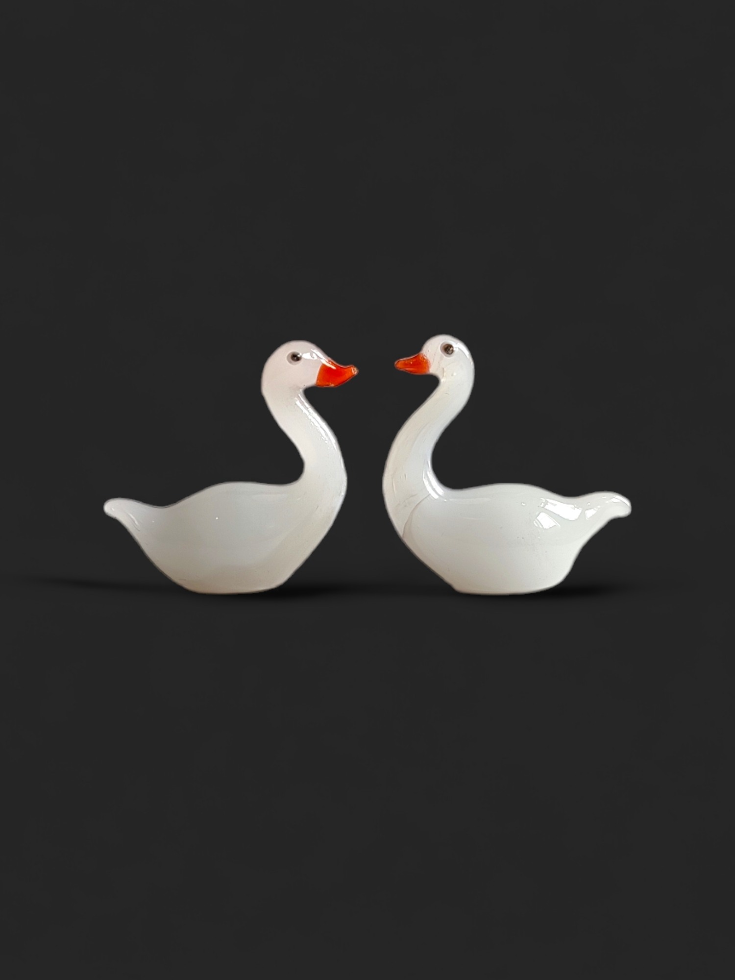 swan
