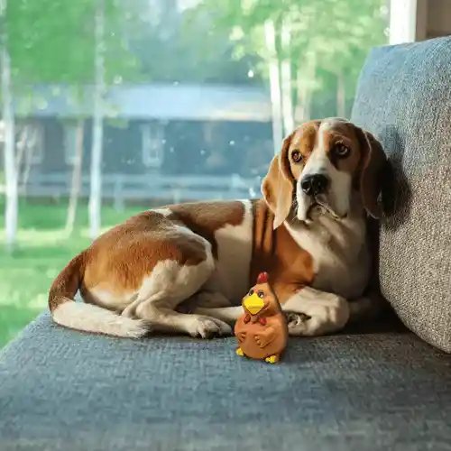 Barkbutler Fofos Latex Bi Rooster Squeaky Toy for Dogs (Brown)