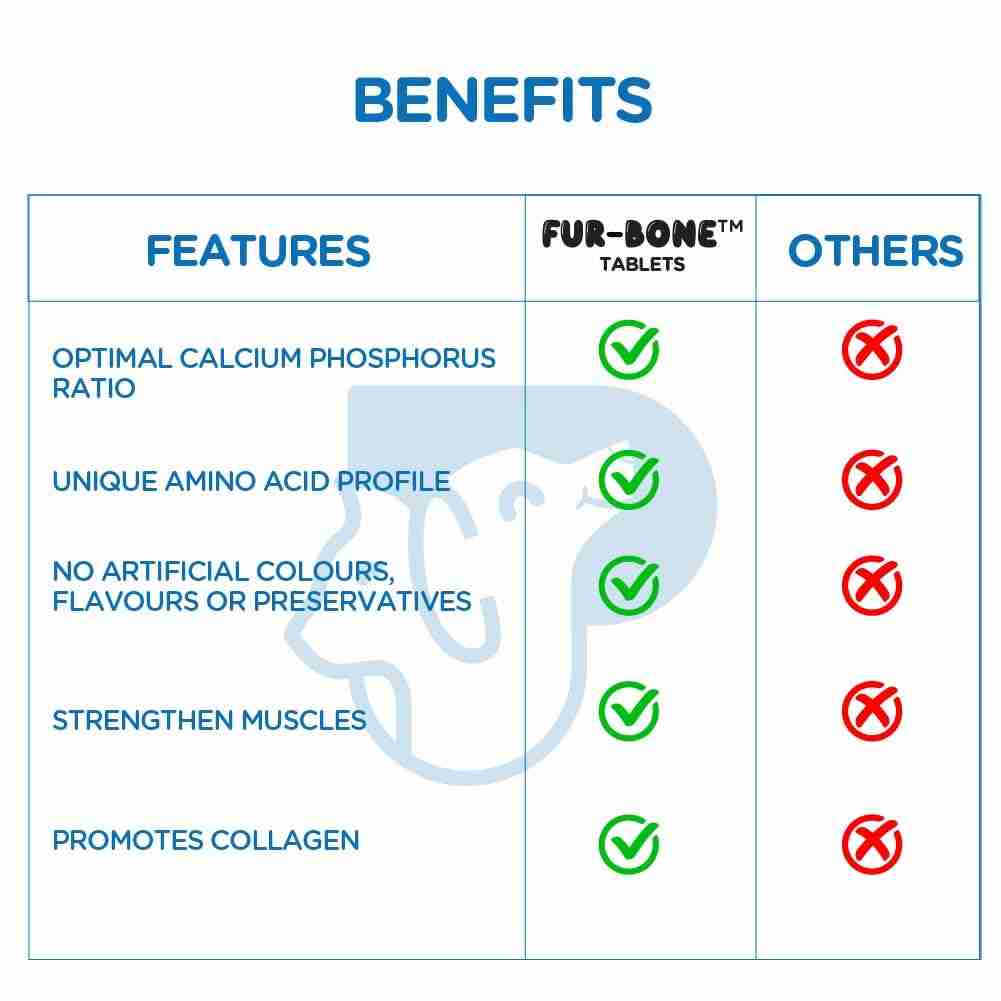 PAWSOME COMPANIONS Furever Fur-Bone 30 S – (Best Before Mar’26)