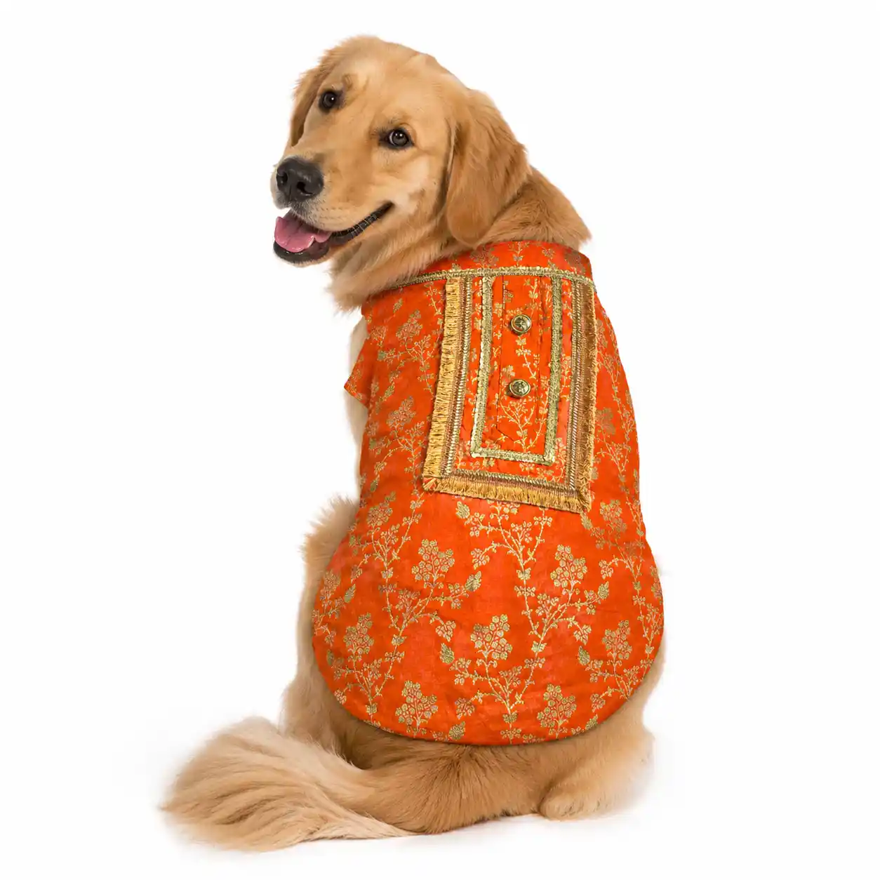 Pawsindia Traditional Royal Zari Kurta for Dogs, Orange