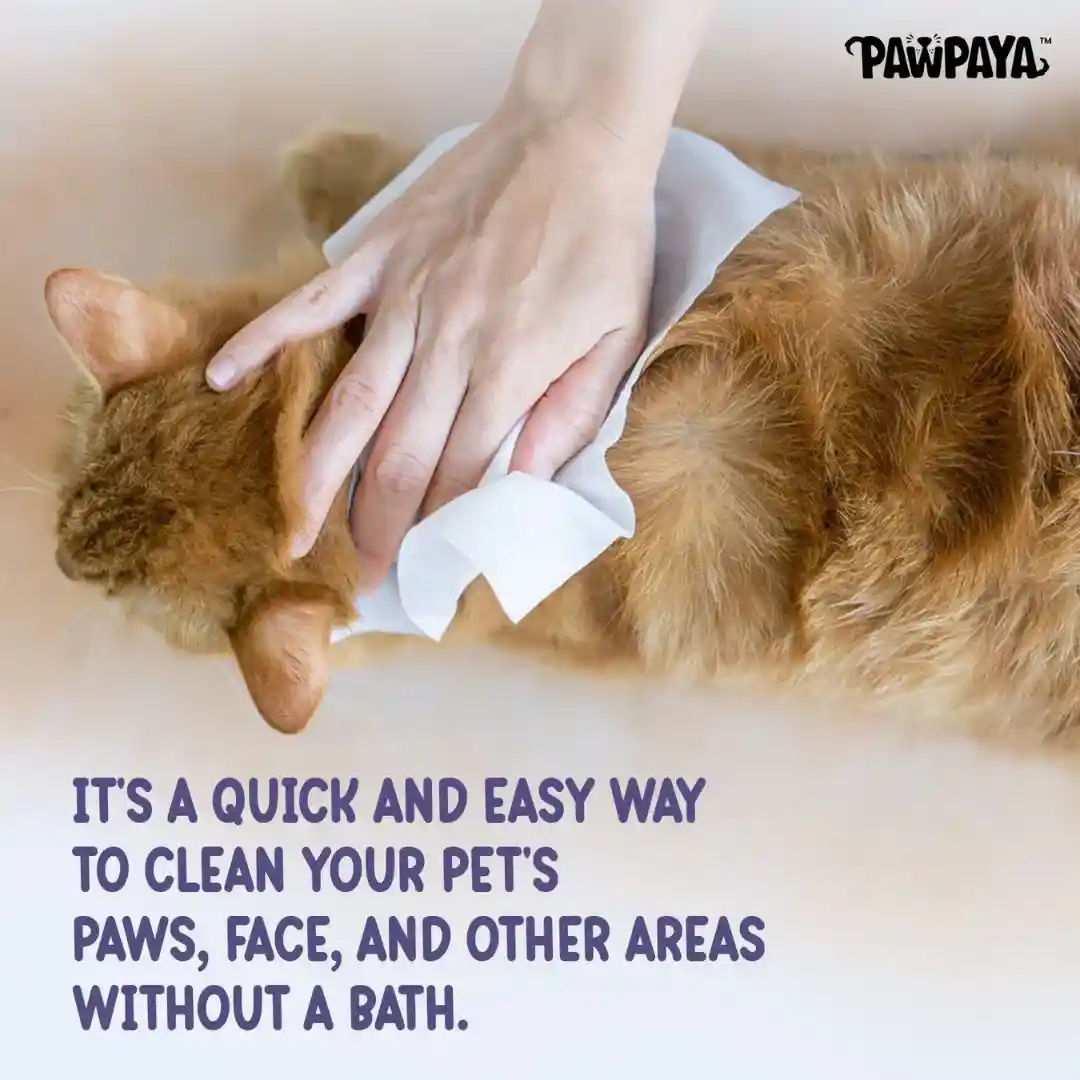 Pawpaya Oatmeal Pet Wipes for Dogs and Cats, 100 Pull Pack (20x18cm)
