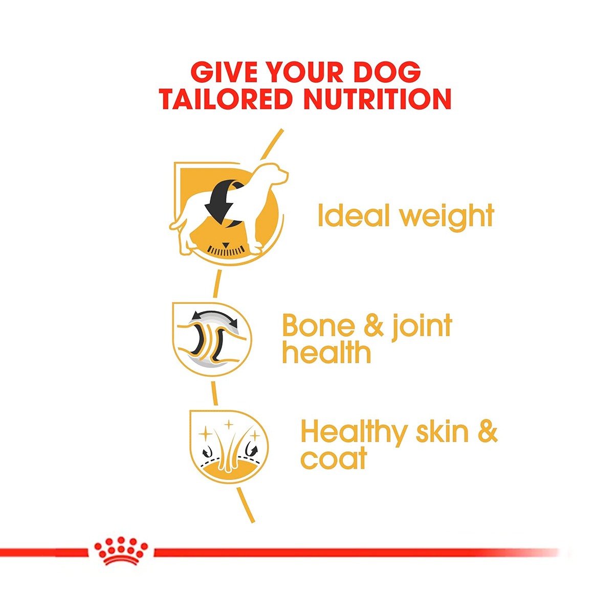 Royal Canin Labrador Adult Dry Dog Food