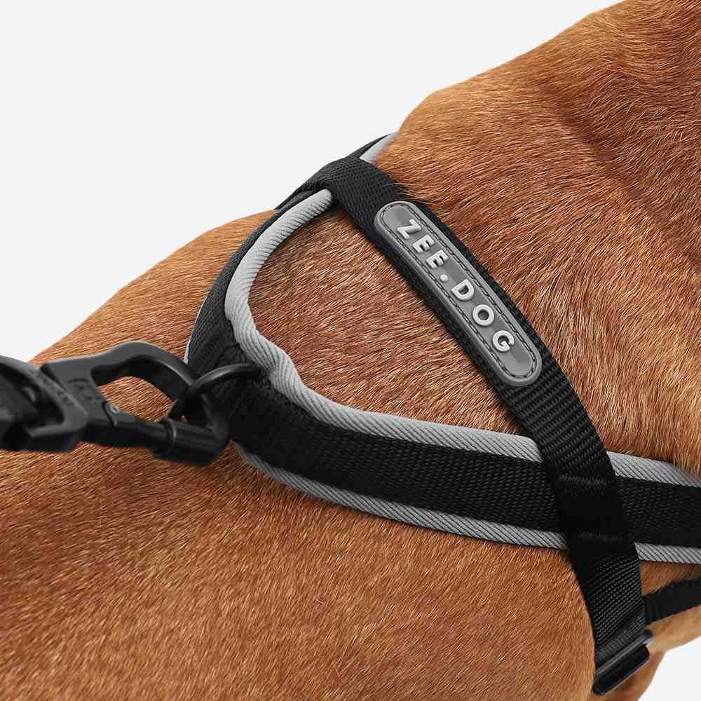 Zee.dog Softer Walk Harness Gotham for Dogs