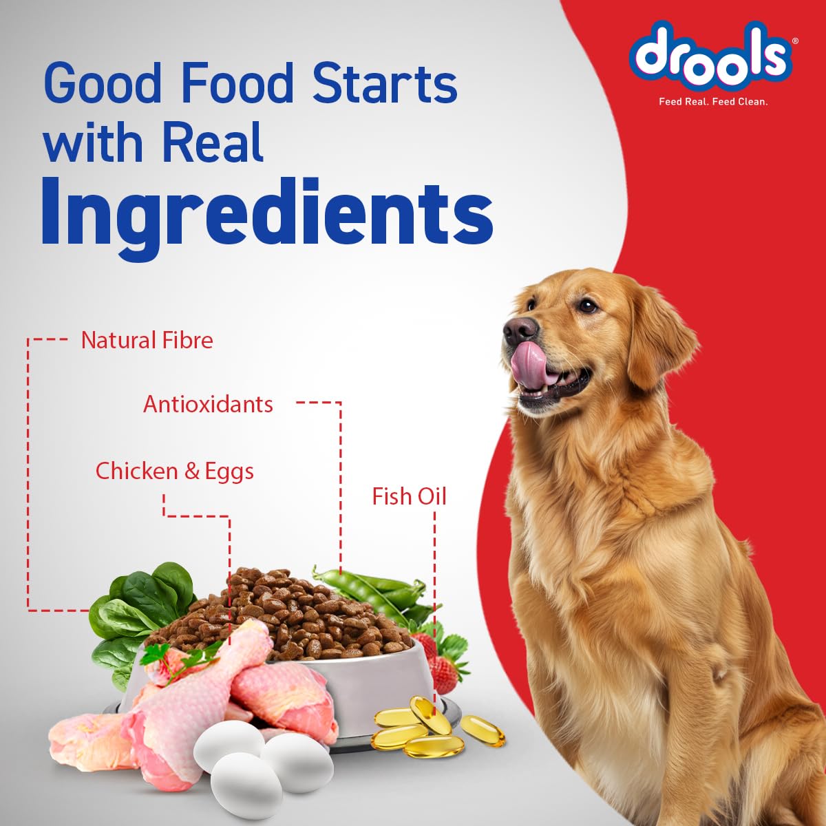 Drools Chicken & Egg Adult Dog Dry Food