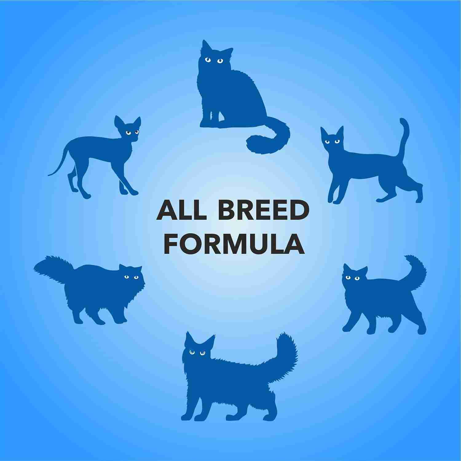Purepet Real Chicken & Chicken Liver in Gravy Cat Wet Food, 50g