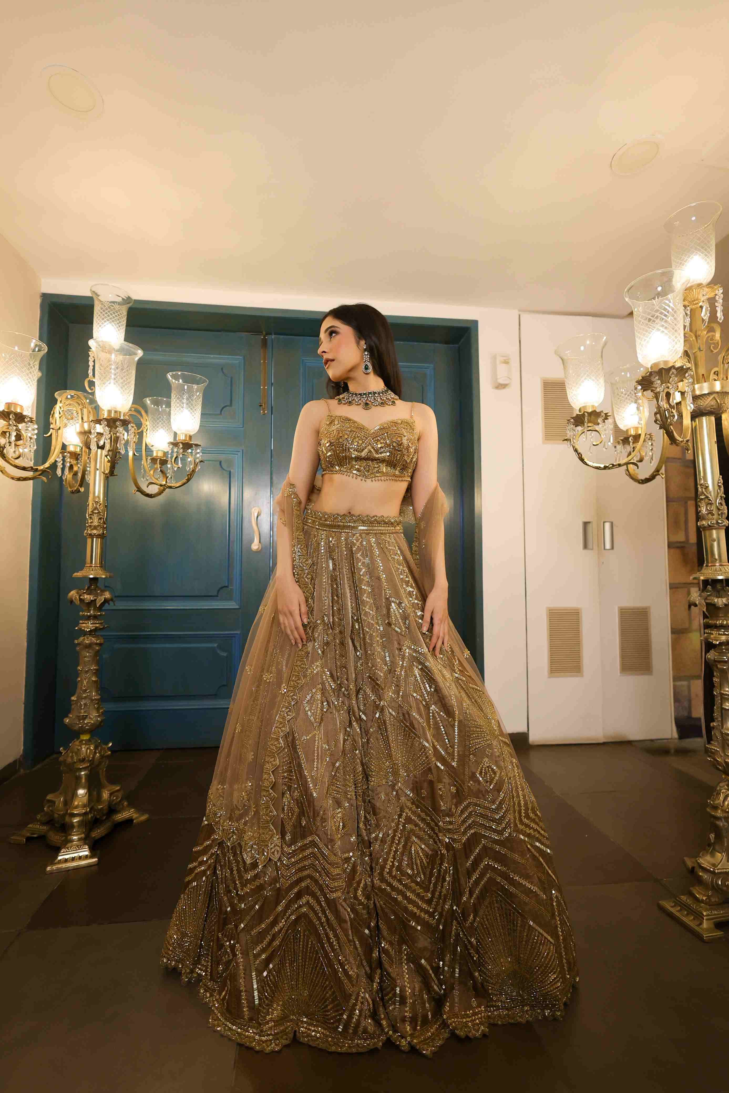 Mocha Tissue Lehenga