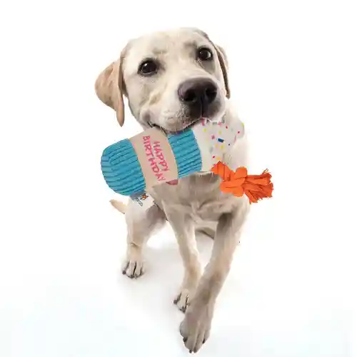 Barkbutler Fofos Birthday Drink Plush Toy for Dogs