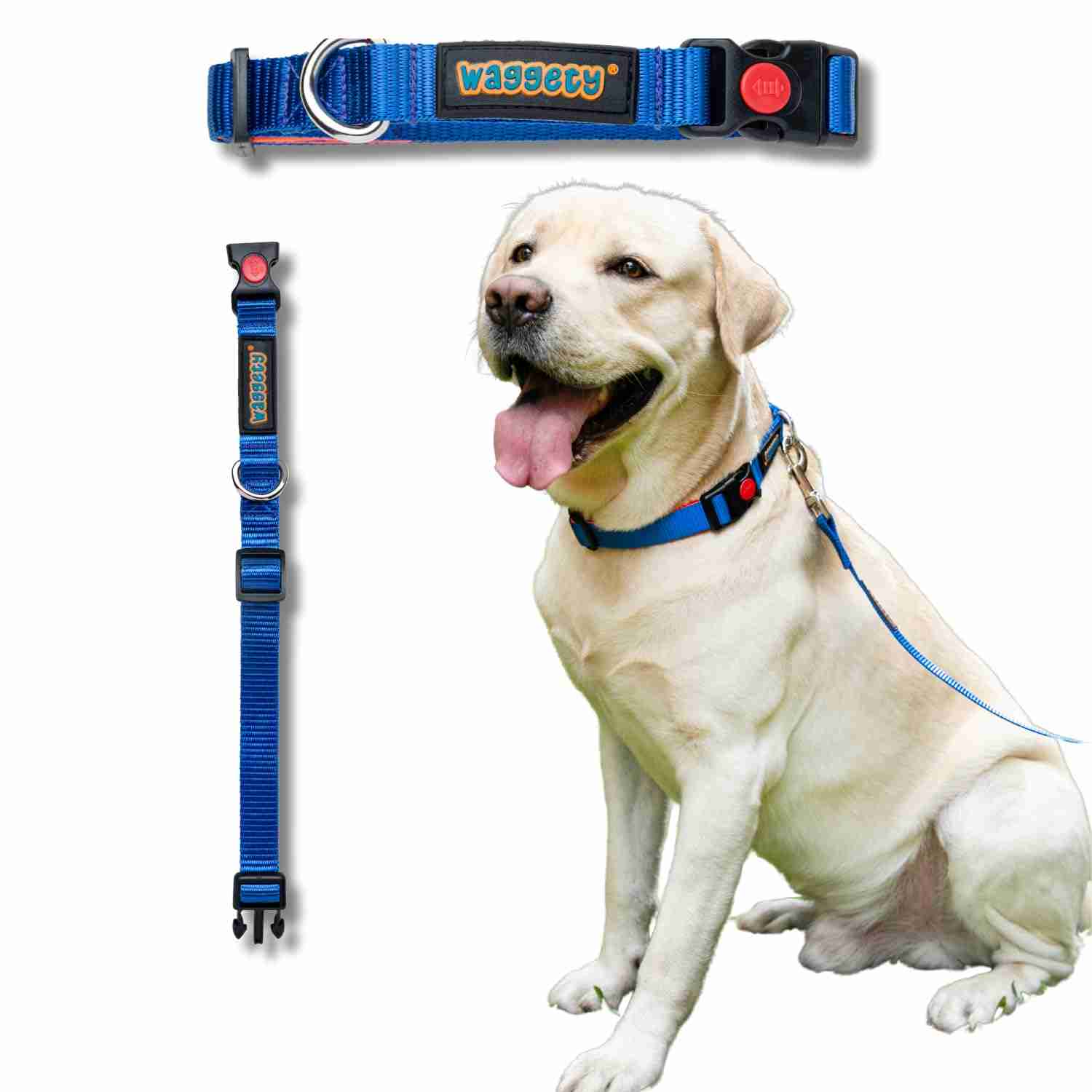 Waggety Padded Dog Collar, Blue
