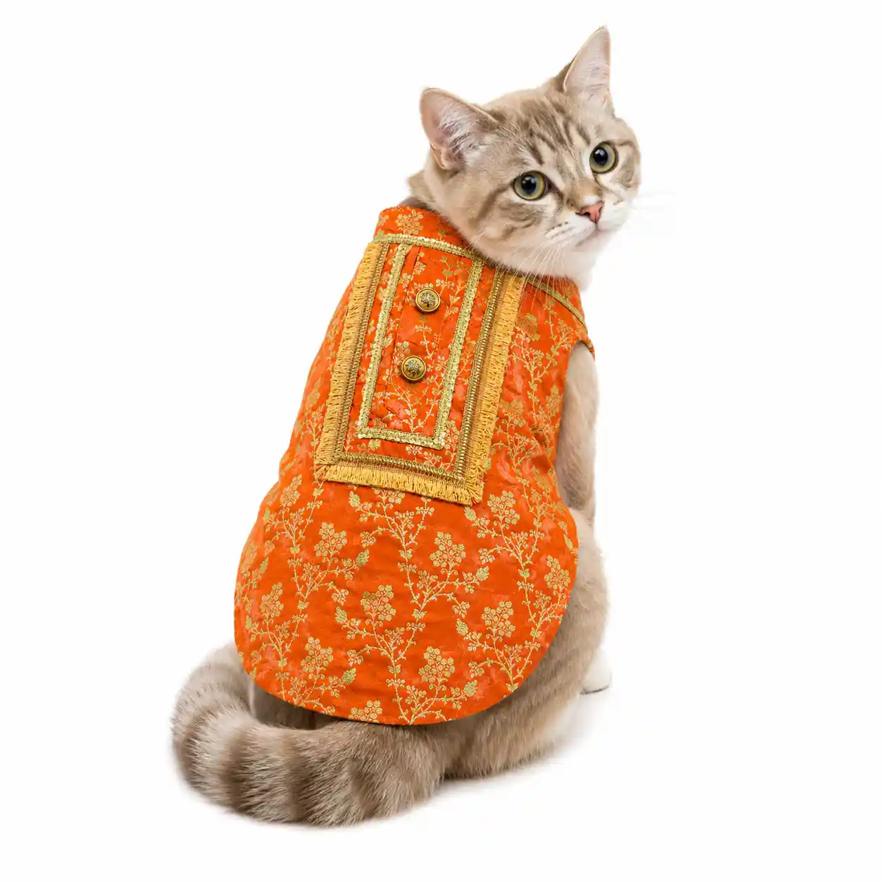 Pawsindia Traditional Royal Zari Kurta for Cats - Orange