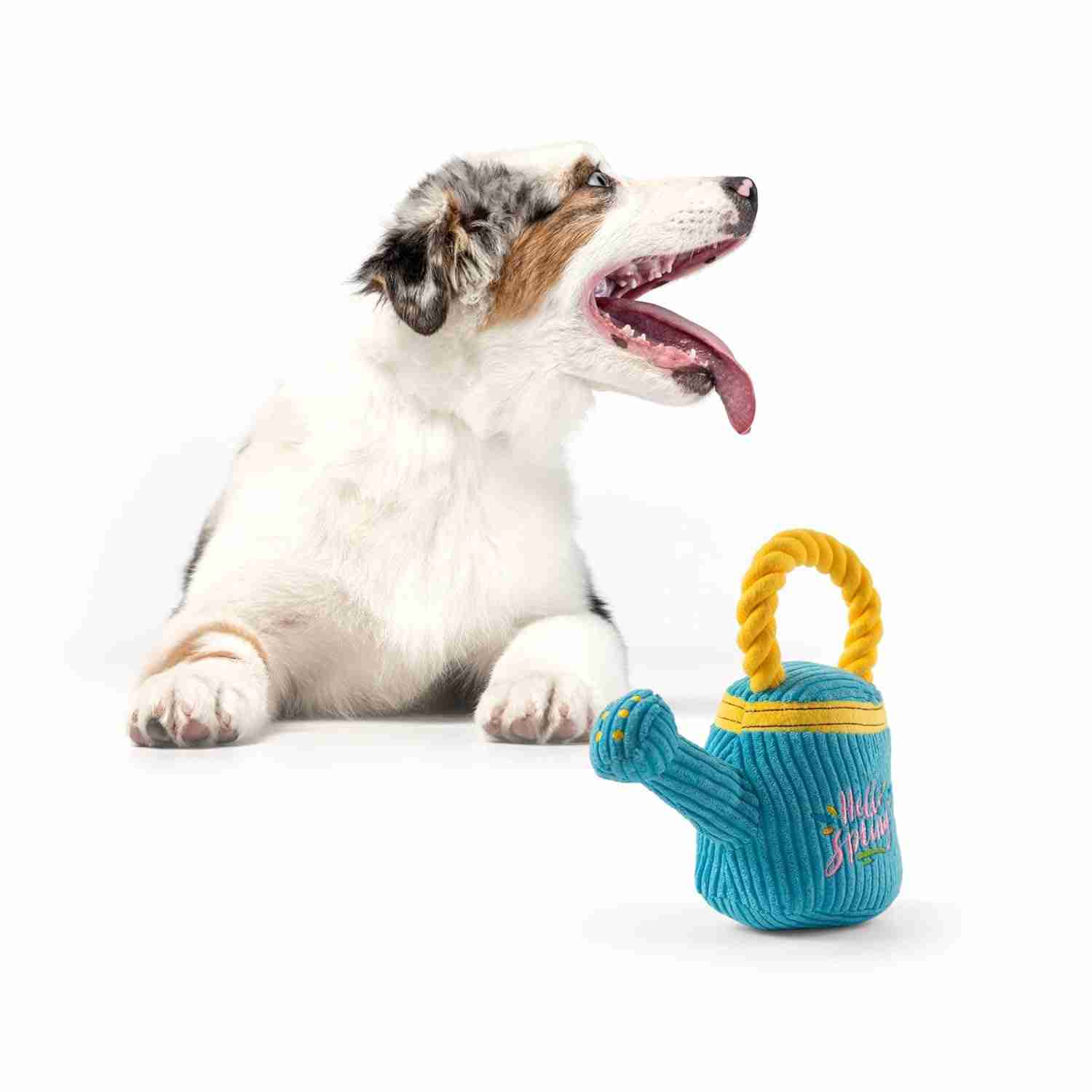 Barkbutler Fofos Garden Watering Can for Dogs