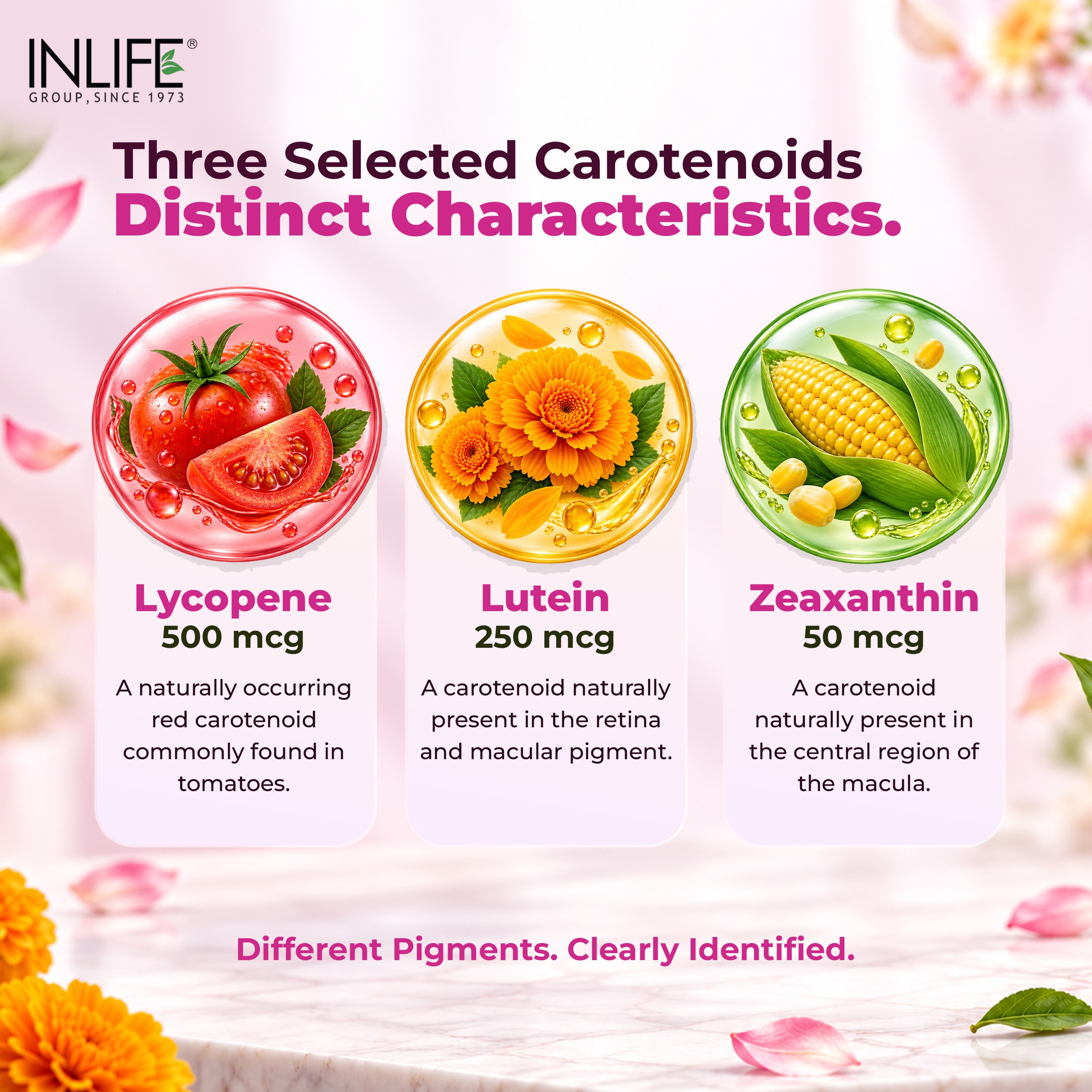 Inlife | Multivitamin for Women with Biotin, Vitamin D, Calcium, & Minerals for Energy, Hair, Skin, Nails, Bone | 60 Veg Capsules (Women)