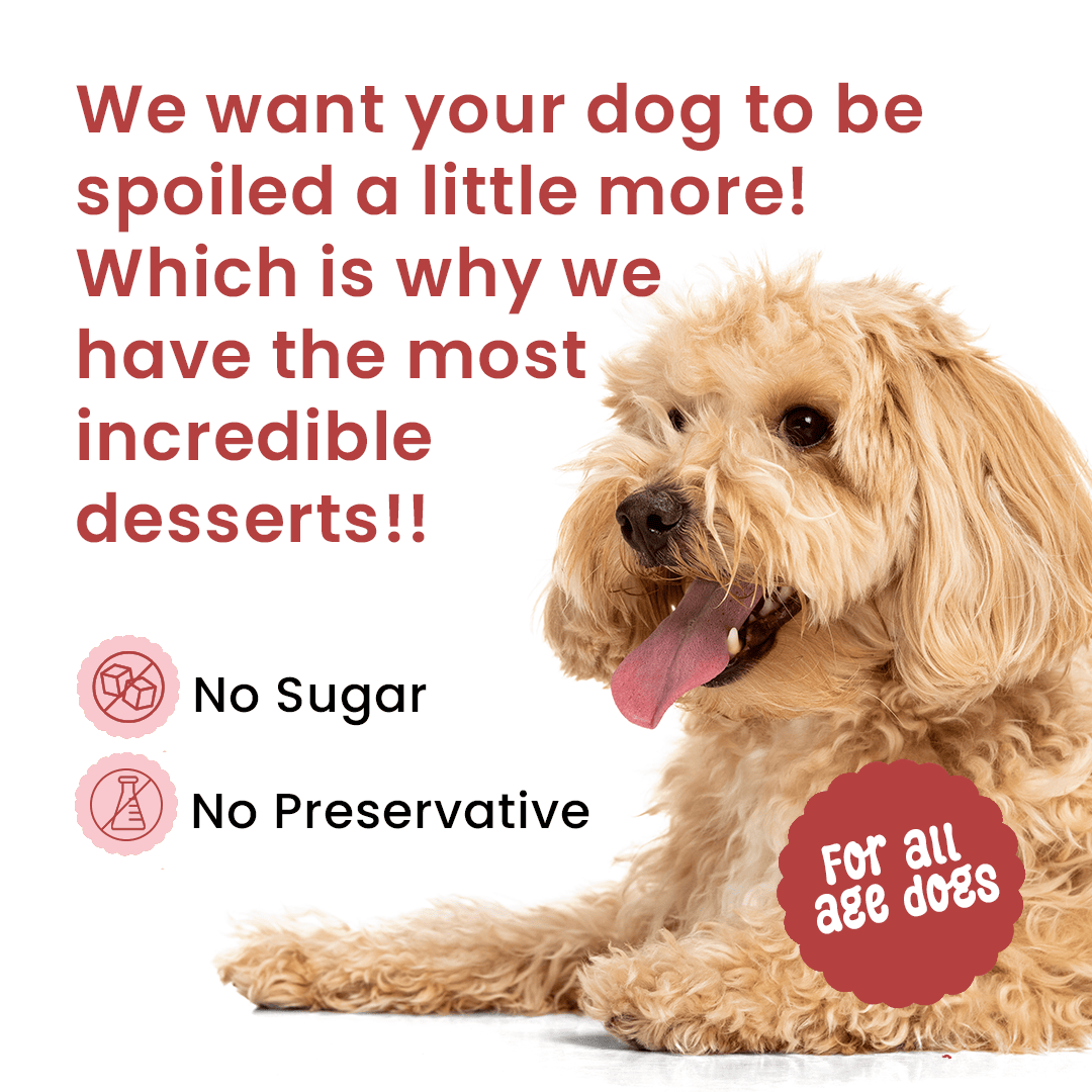 Casper Pancake Mix Apple Flavour Dog Treat - 250g