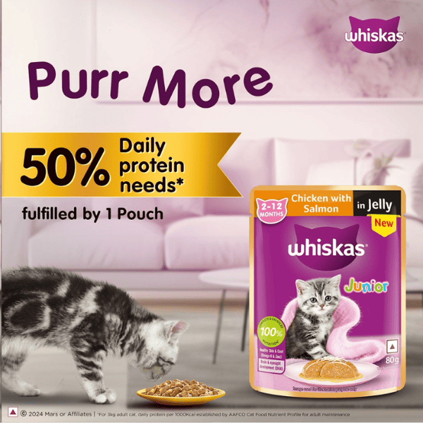 Whiskas Kitten Chicken with Salmon in Jelly (2-12 months) - 80 gm