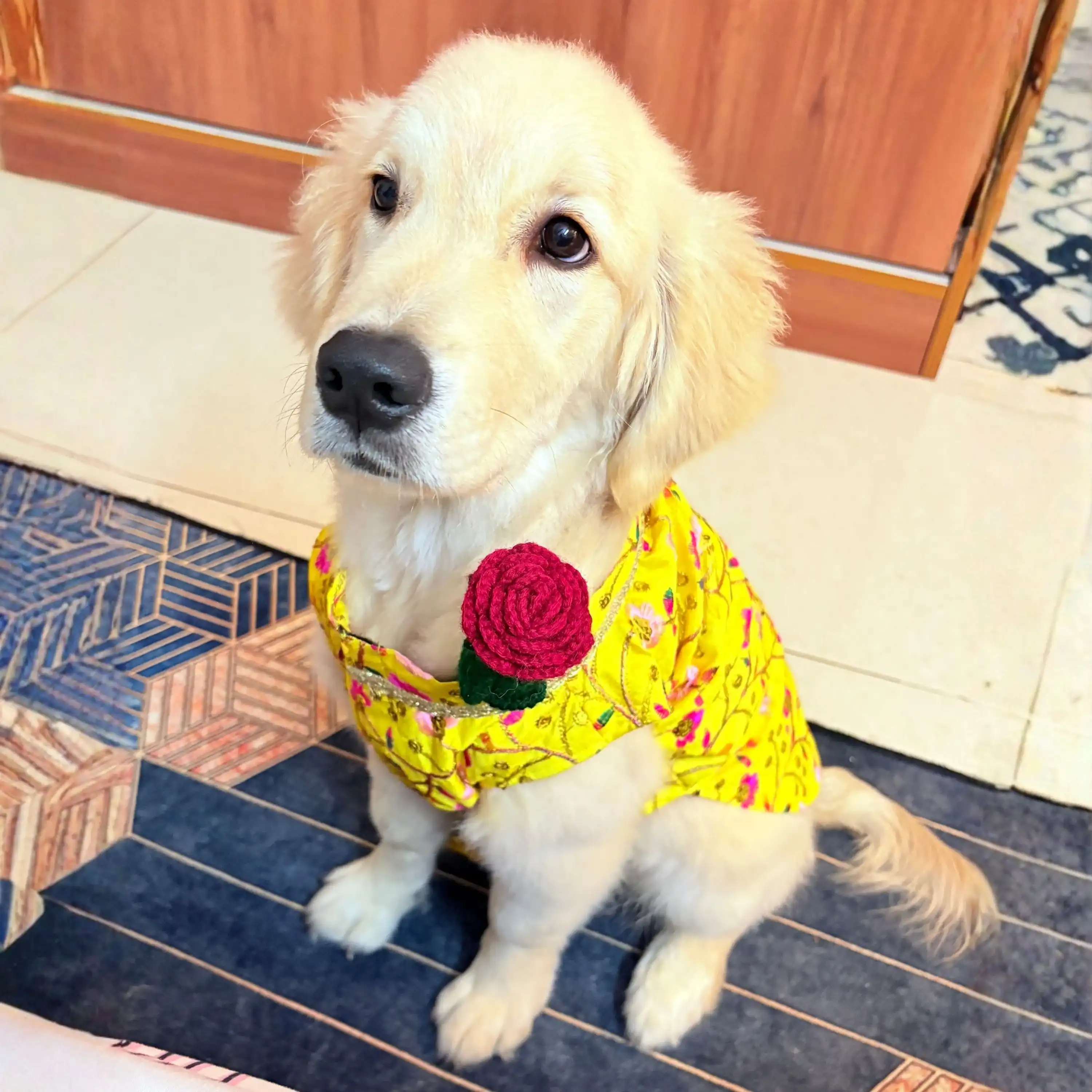 PawsIndia Traditional Marigold Yellow  Prince Kurta for Cats & Dogs