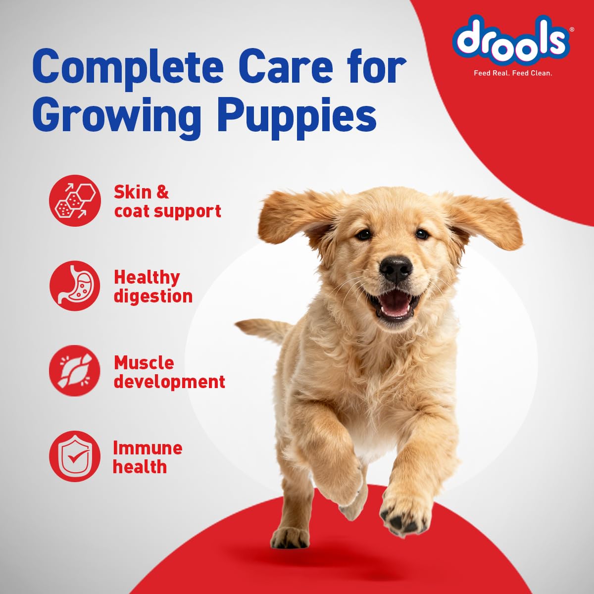 Drools Chicken &  Egg Puppy Dog Dry Food