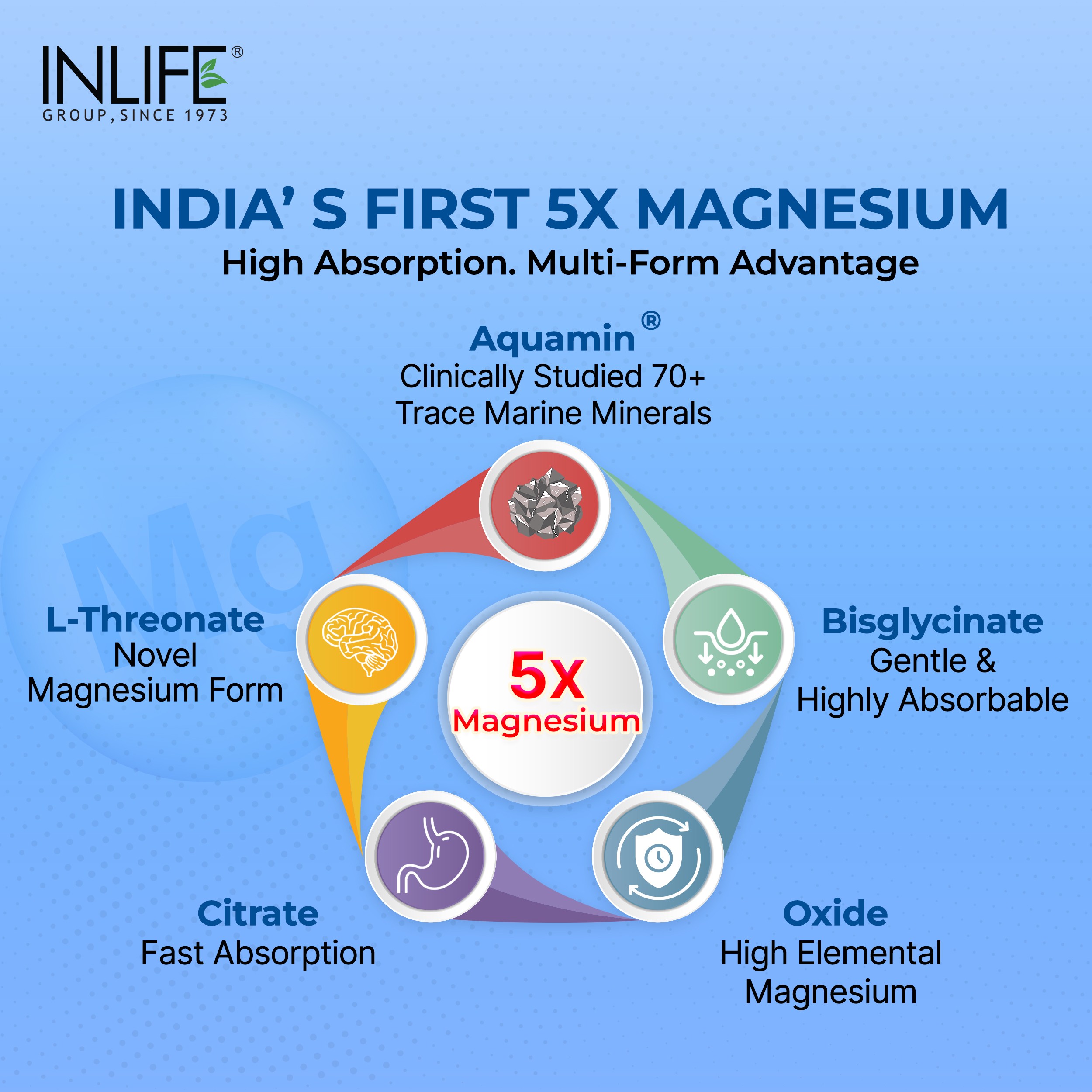 Inlife | Magnesium 5X Complex, 440 mg (Elemental Mg) Tablets | 60 Tablets