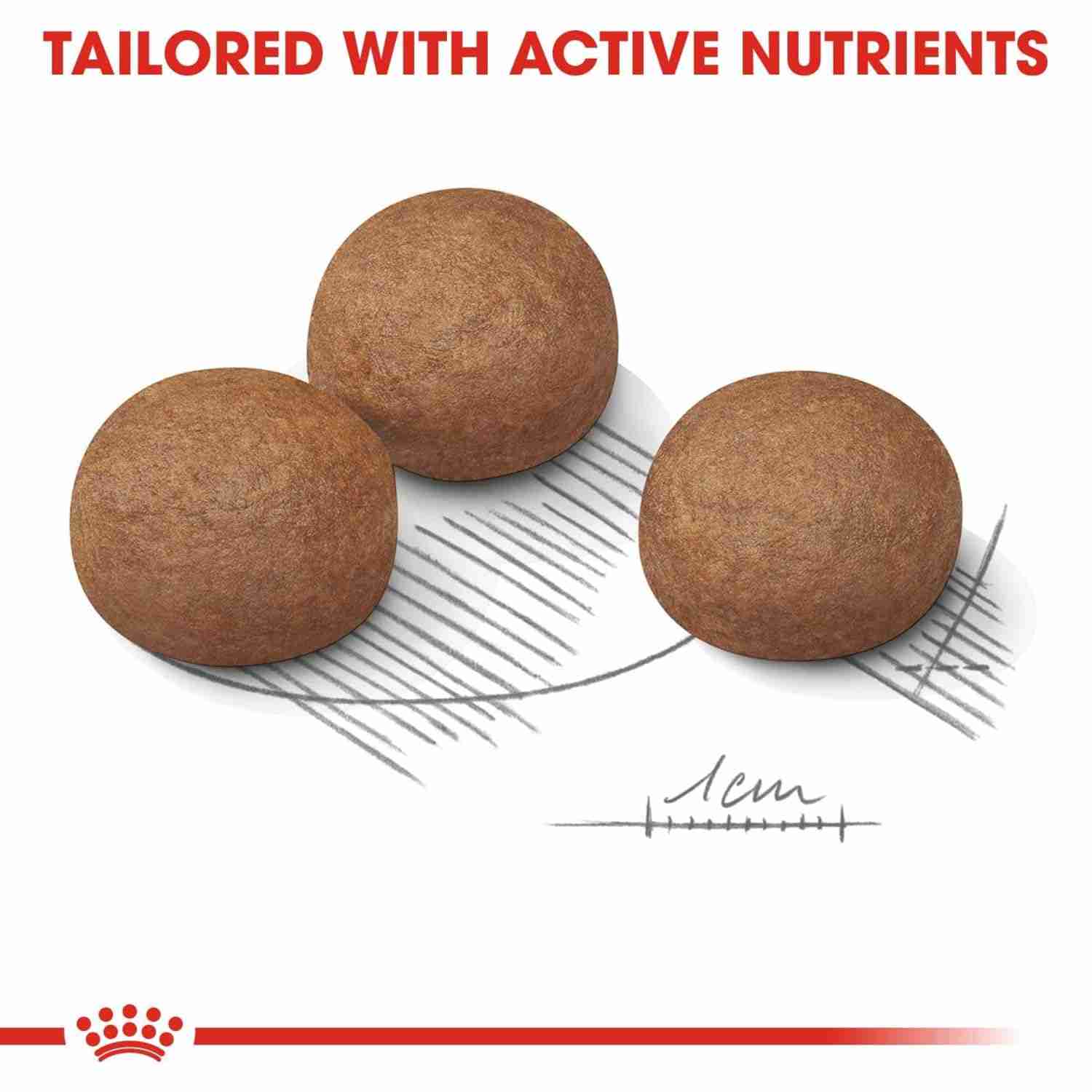 Royal Canin Maxi Digestive Care Dry Dog Food