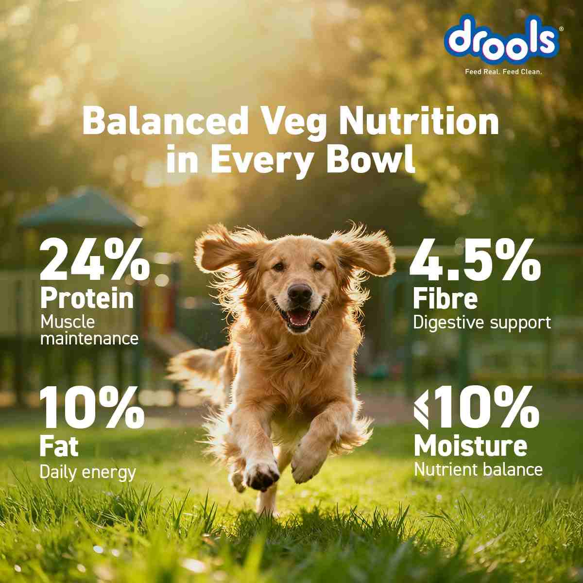 Drools Vegetarian Puppy and Adult Dog Veg Dry Food