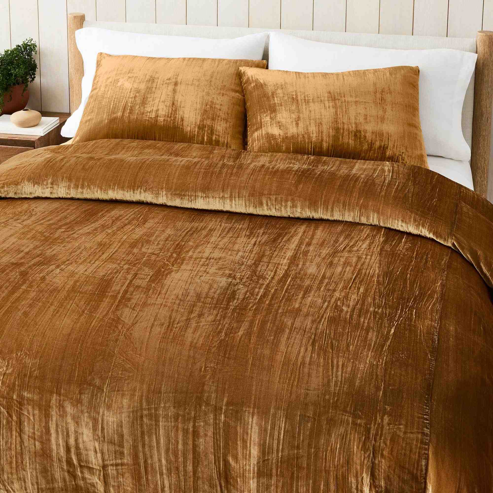 GLOBAL Lush Velvet Crinkle DuvetStandard ShamHoney