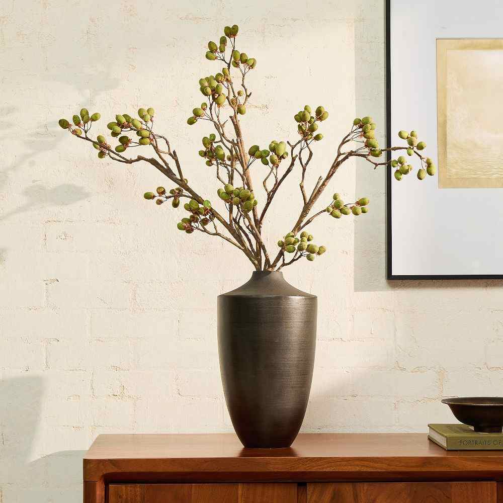 Faux Kiwi Pod Branch
