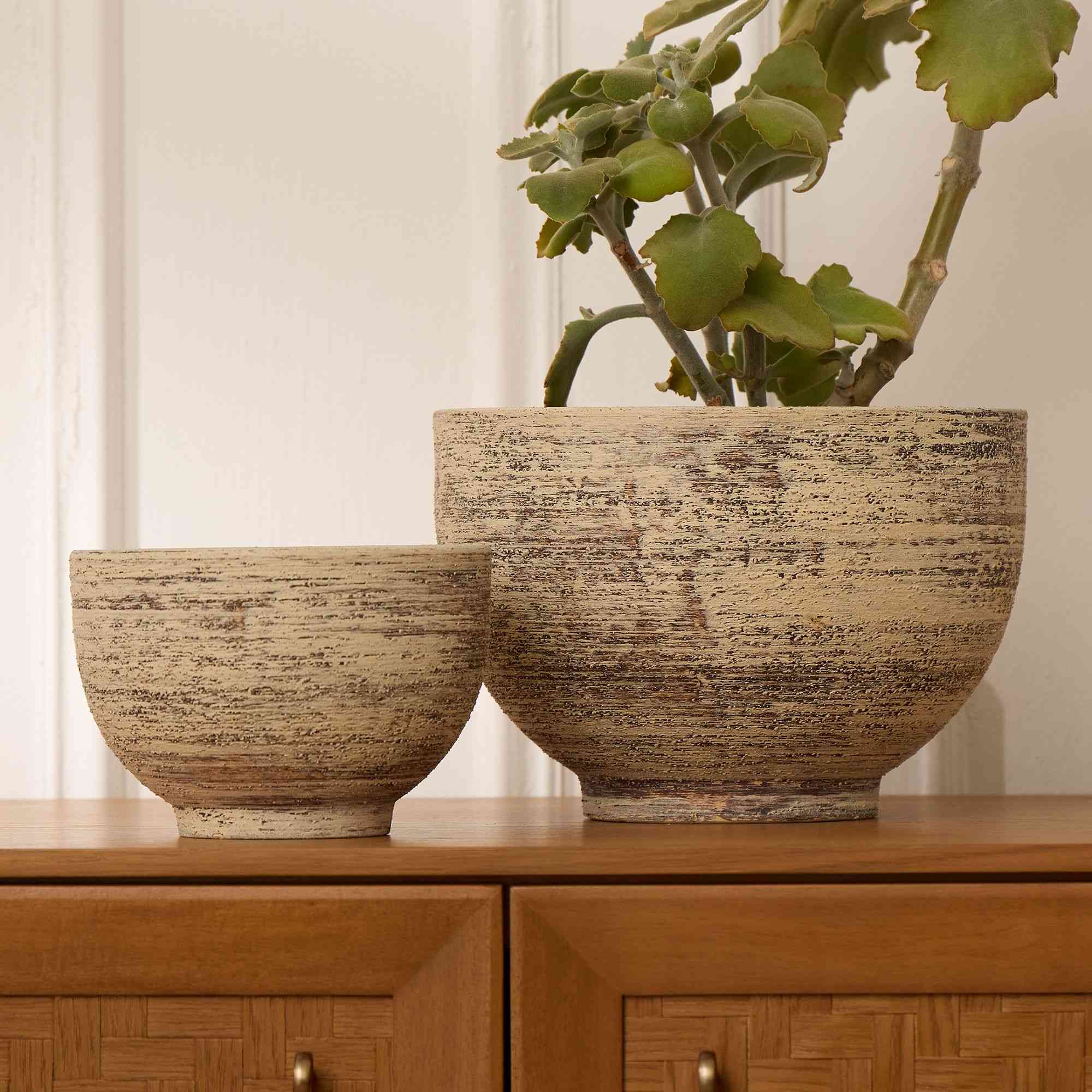 west elm | Ceres Ceramic Tabletop Planters