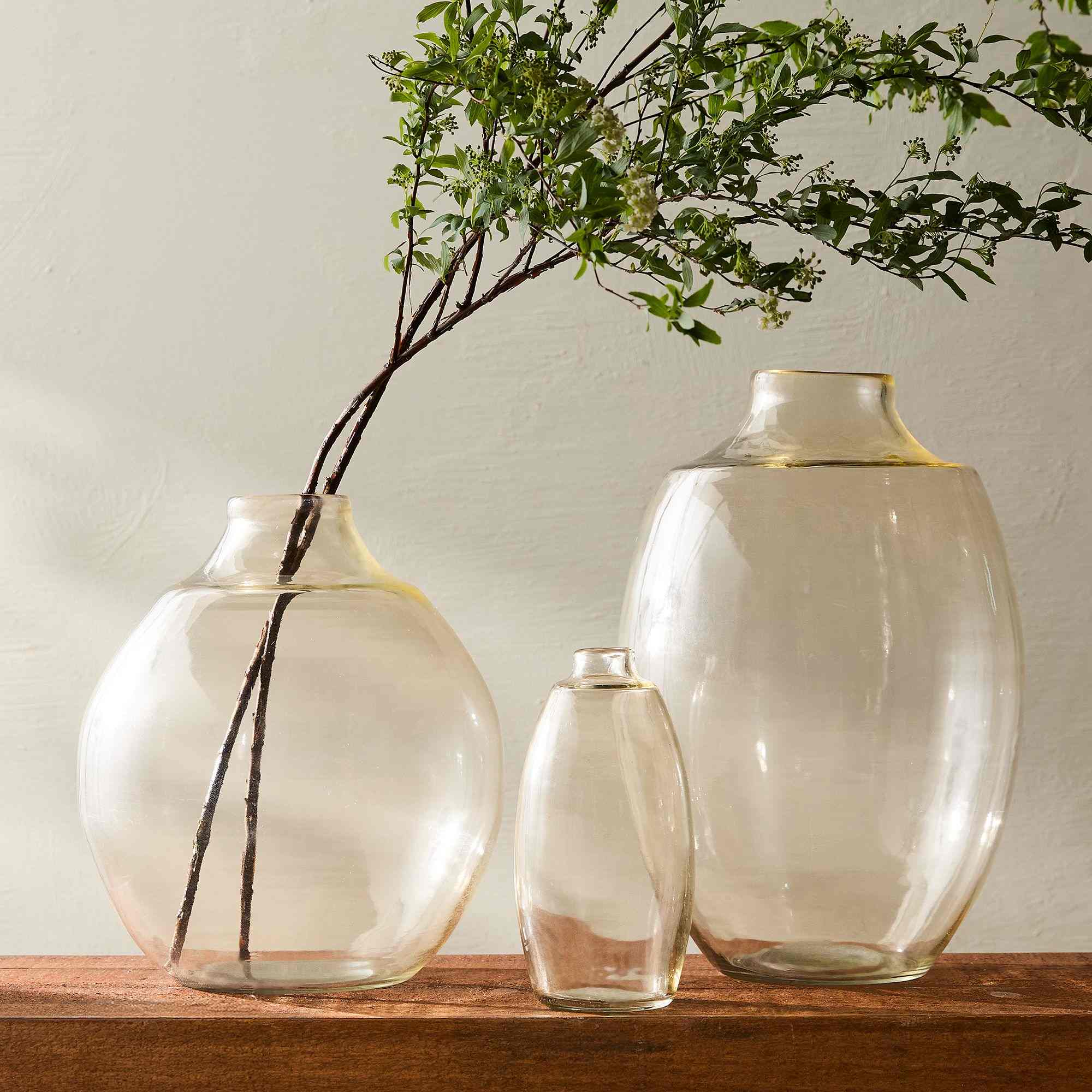 west elm | Faidre Glass Vases