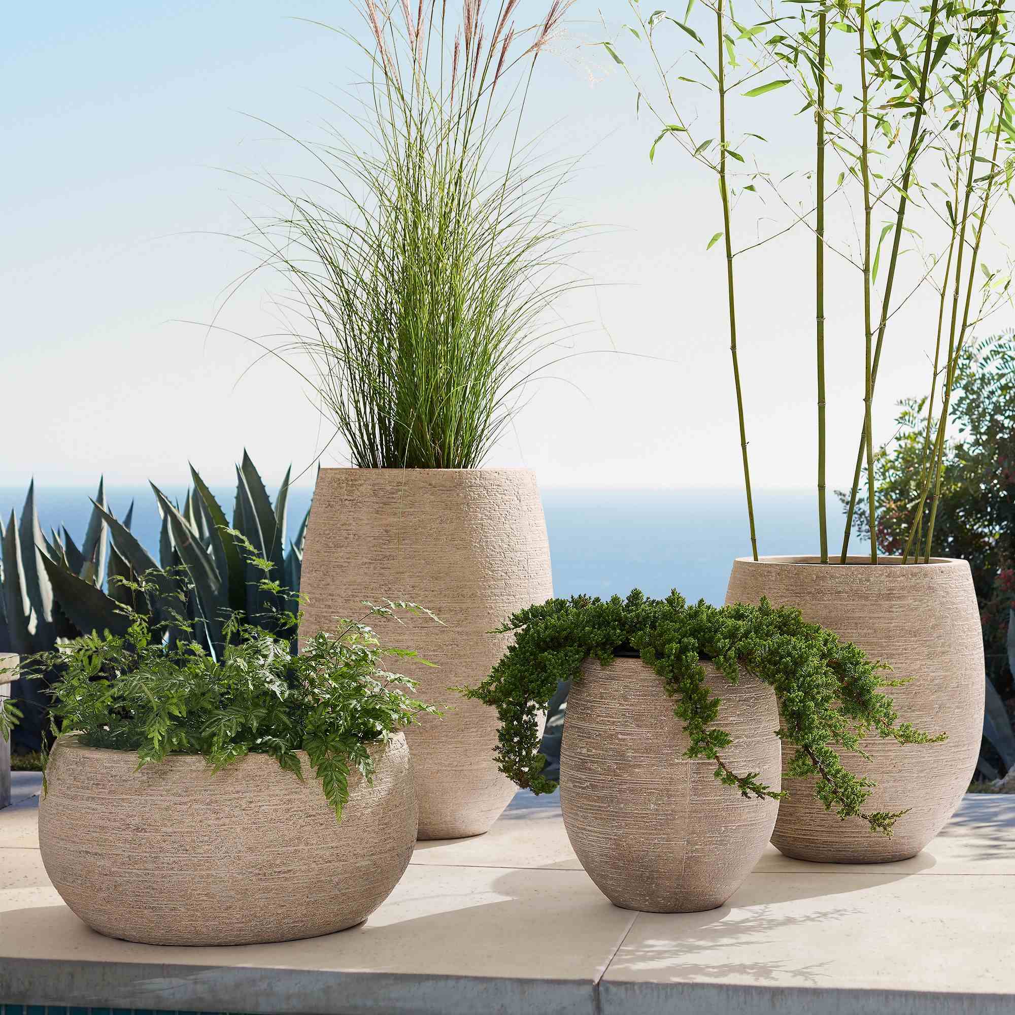 Curved Ficonstone Indoor/Outdoor Planters