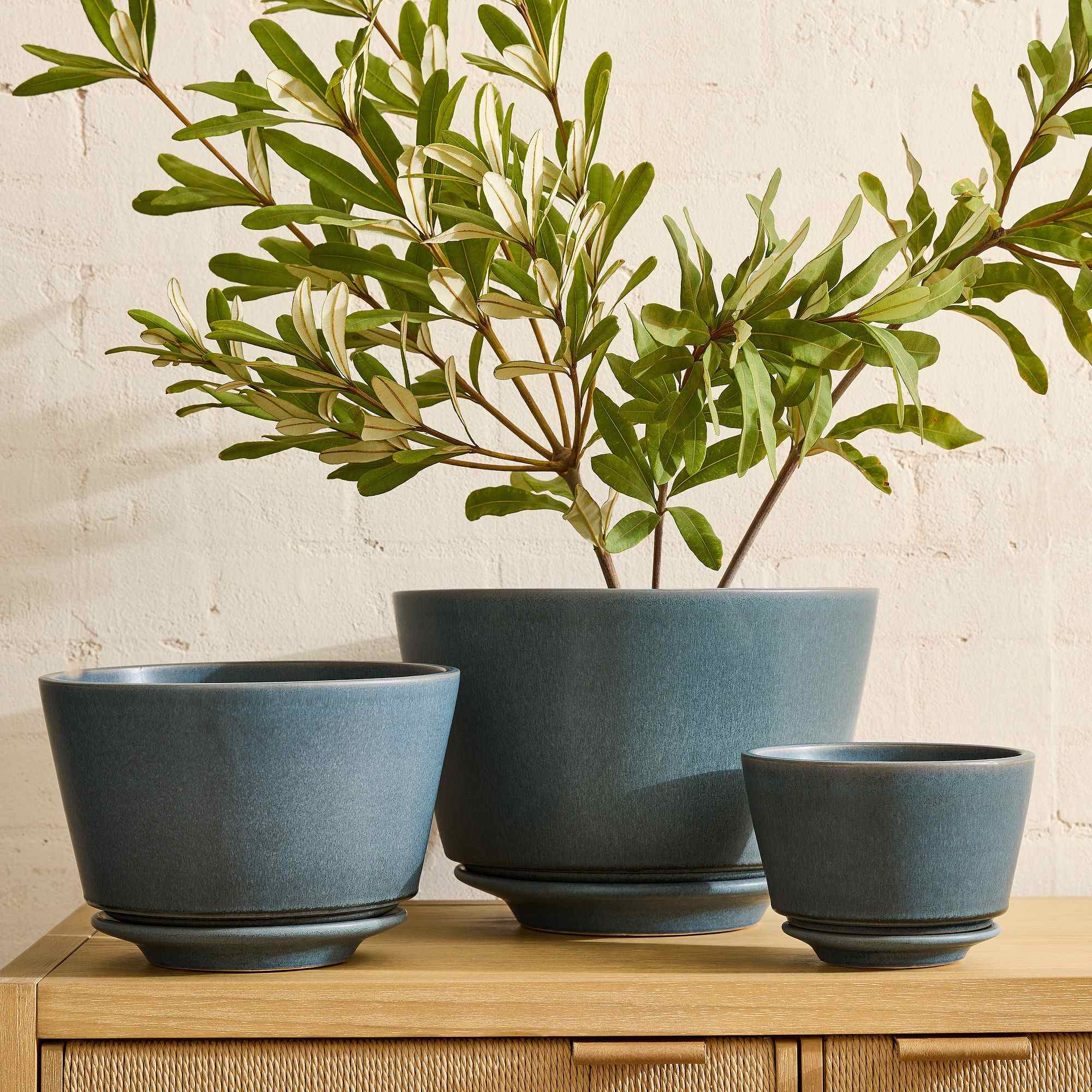 Elora Ceramic Planters
