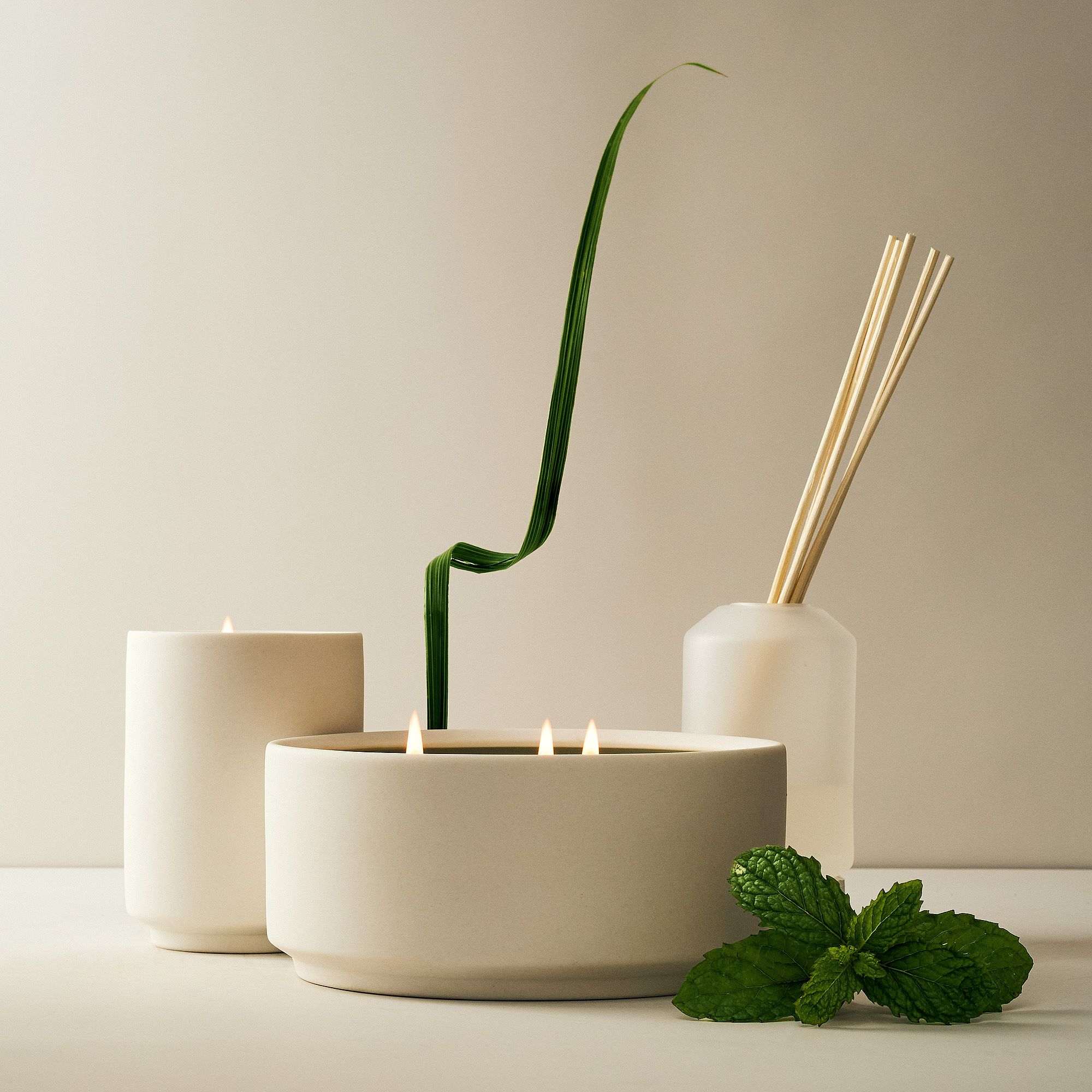 West Elm Homescent Collection - Mint Tea