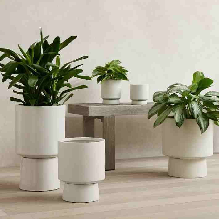 Bishop Earthernware Planter