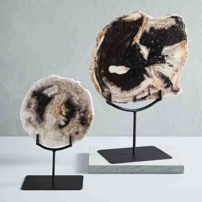 Petrified Wood Object on Stand